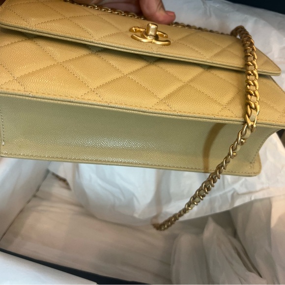 23A Dark beige Chanel flap bag - Picture 10 of 15